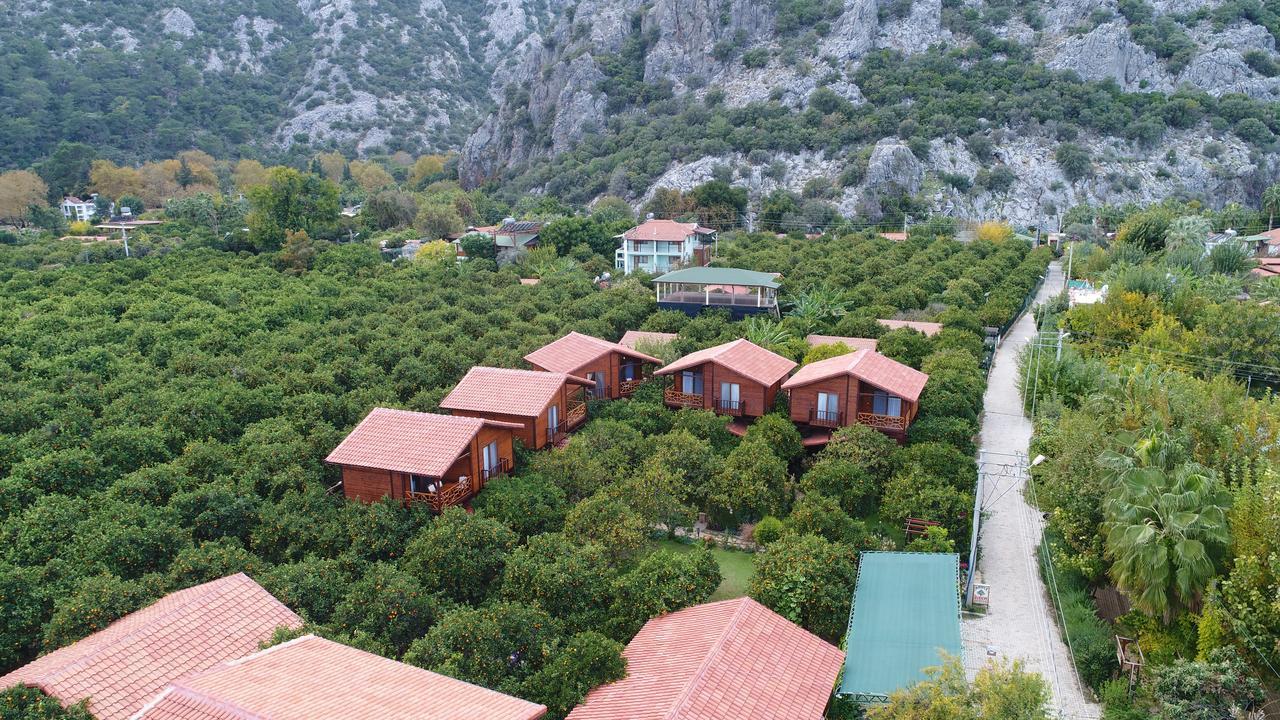 Bahce Villa Çıralı 외부 사진