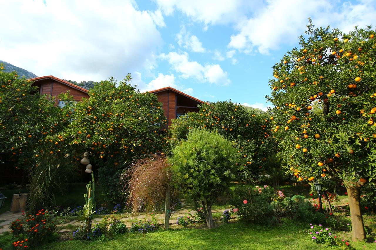 Bahce Villa Çıralı 외부 사진